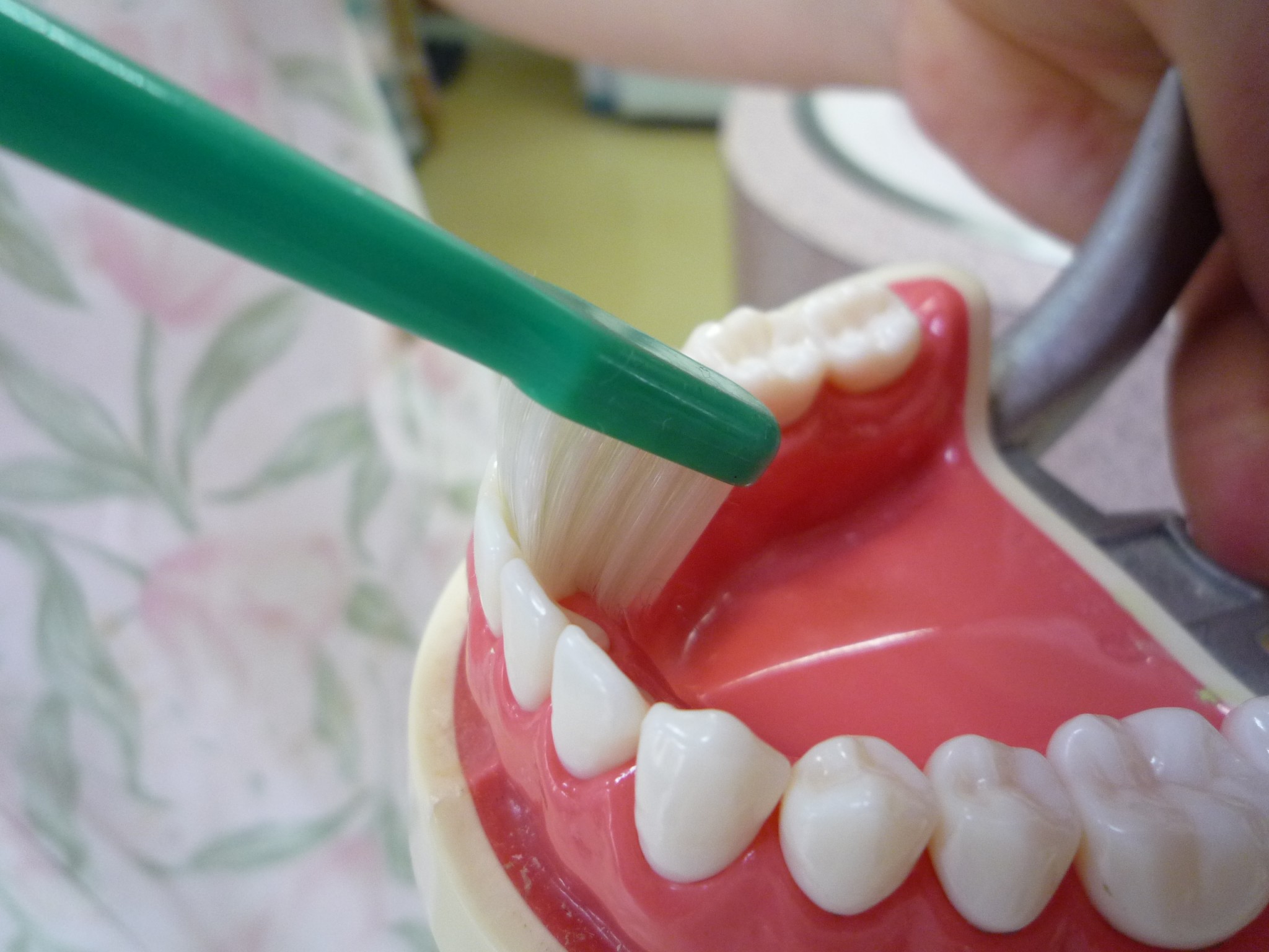 歯磨き し て も 歯 垢 が 残る